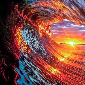 Meet your Posher, Thyckums